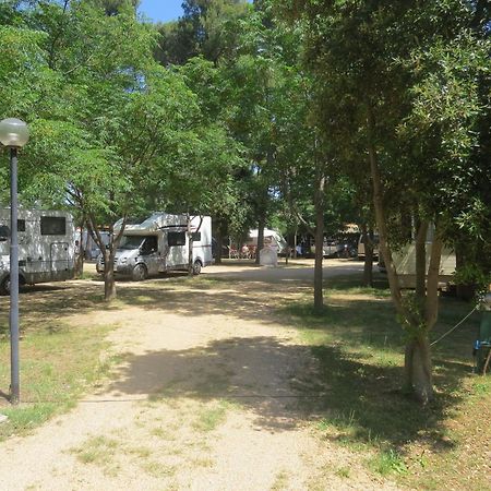 Camping Mia Bungalow & Mobile Home Biograd Na Moru Exterior photo